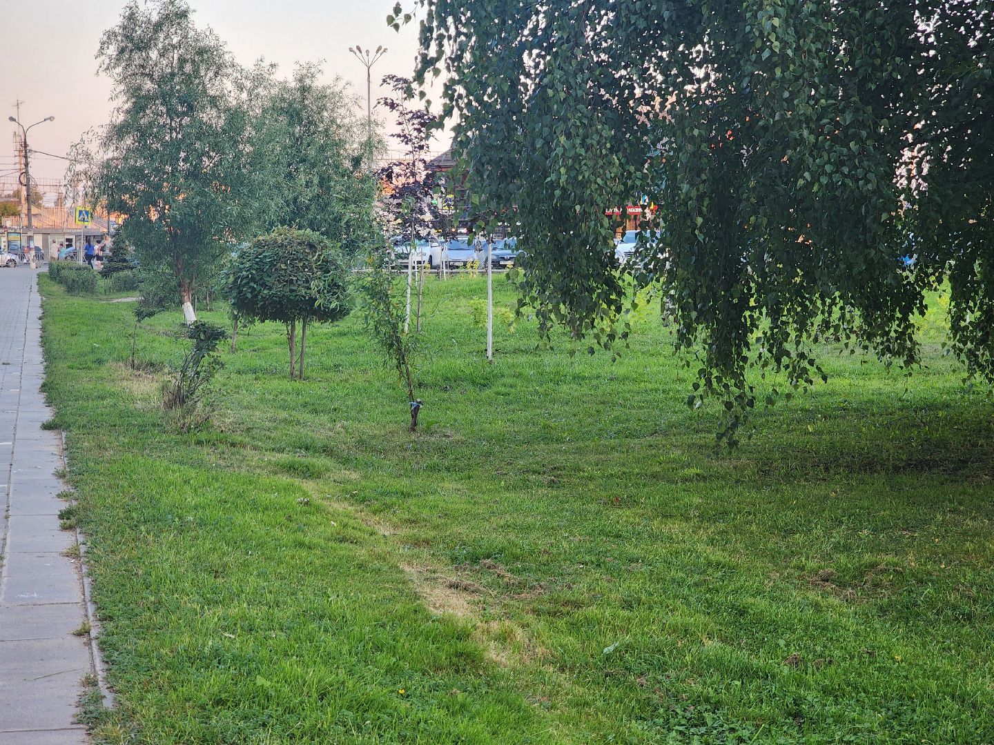 Павловский Посад, городской округ павловский посад, выездная администрация, жители, люди, обращения,