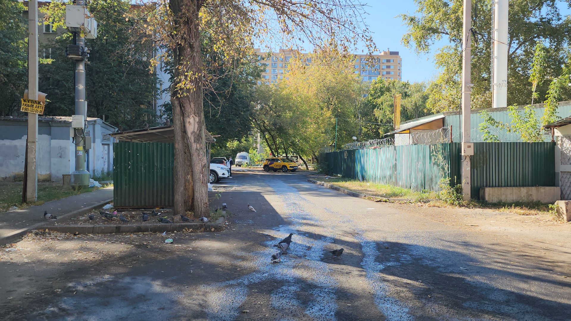 люберцы, контейнерная площадка, вывоз мусора, обращение жителей,