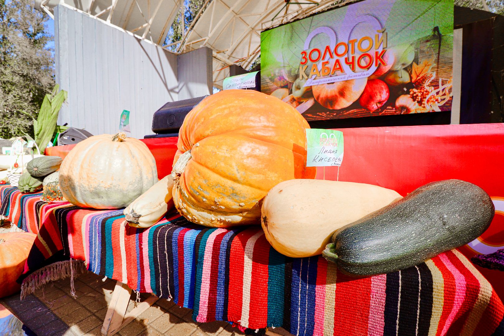 Клин, общество, культура, фестивали, Подмосковье, большая тыква,