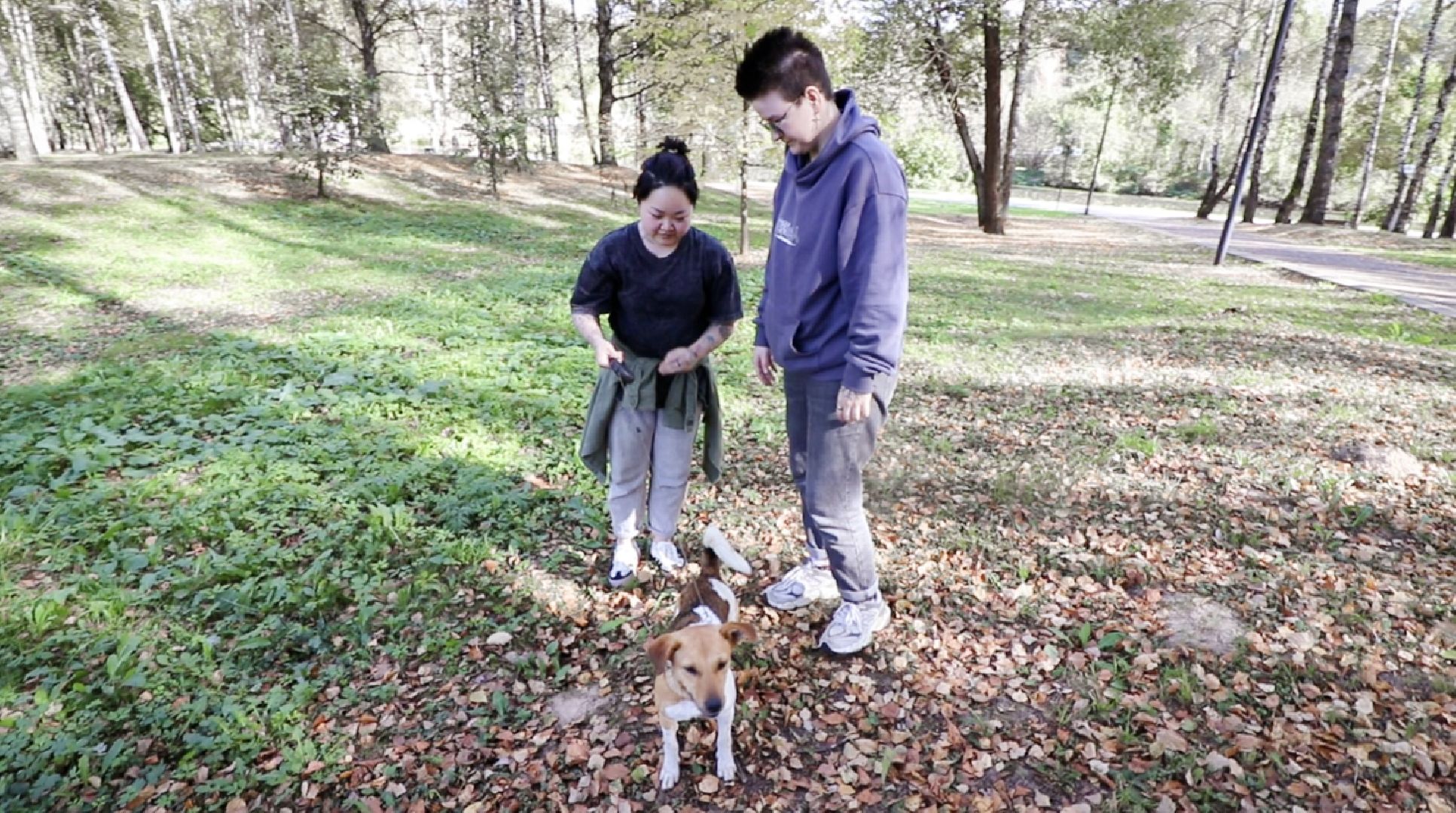 Клин, общество, животные, добрые руки, благотворительная акция,