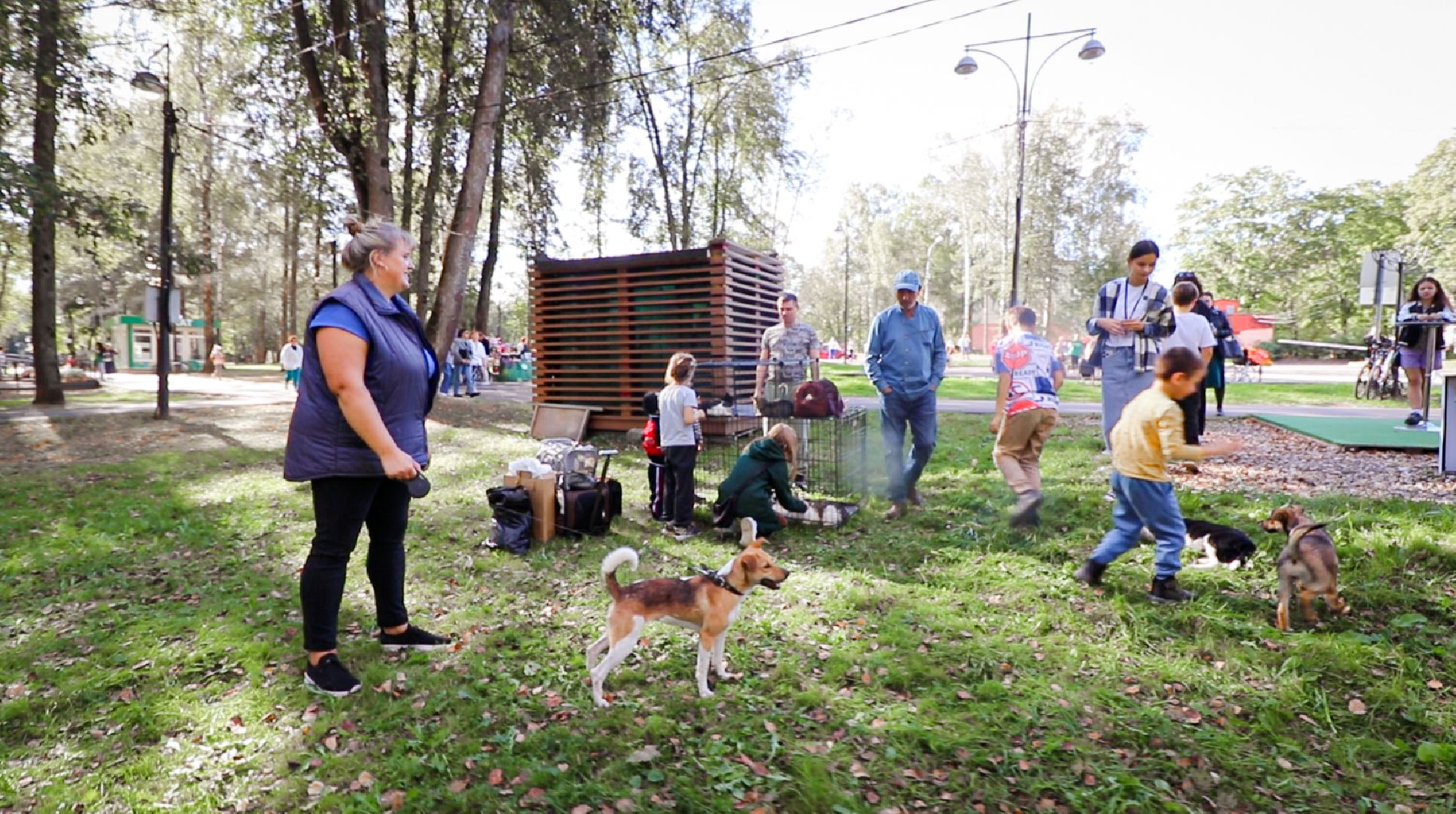Клин, общество, животные, добрые руки, благотворительная акция,