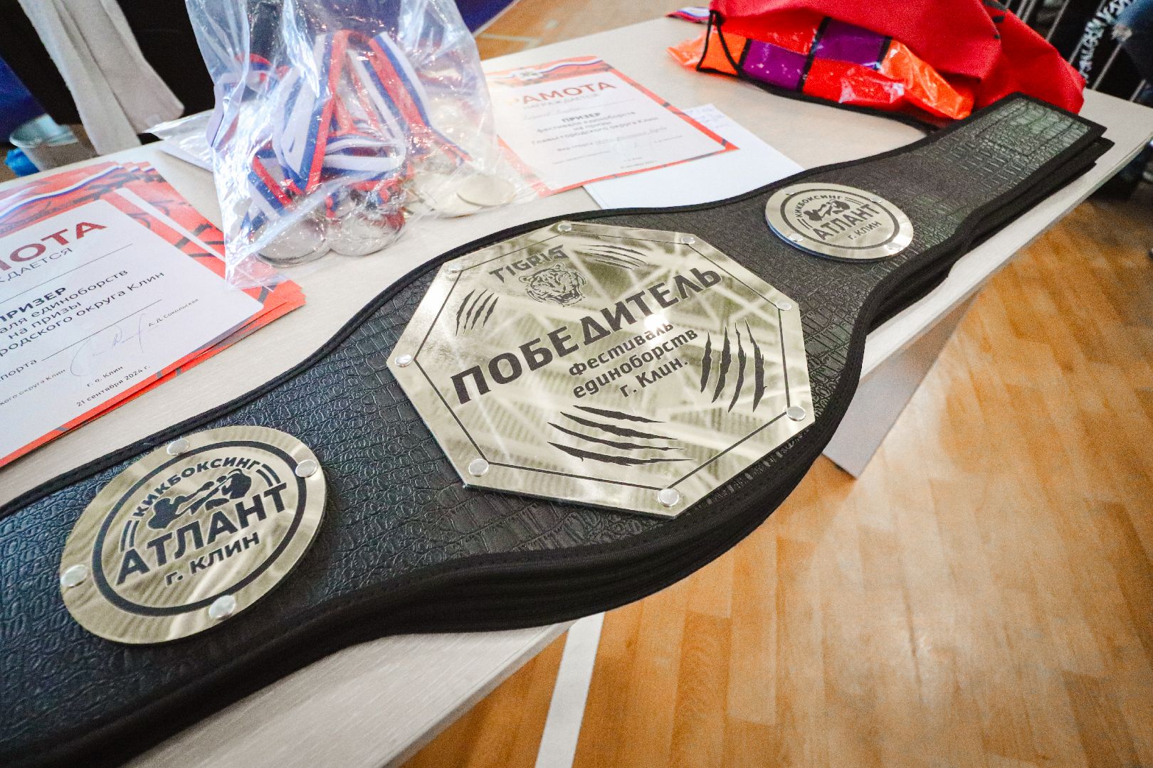 Клин, общество, спорт, единоборства,