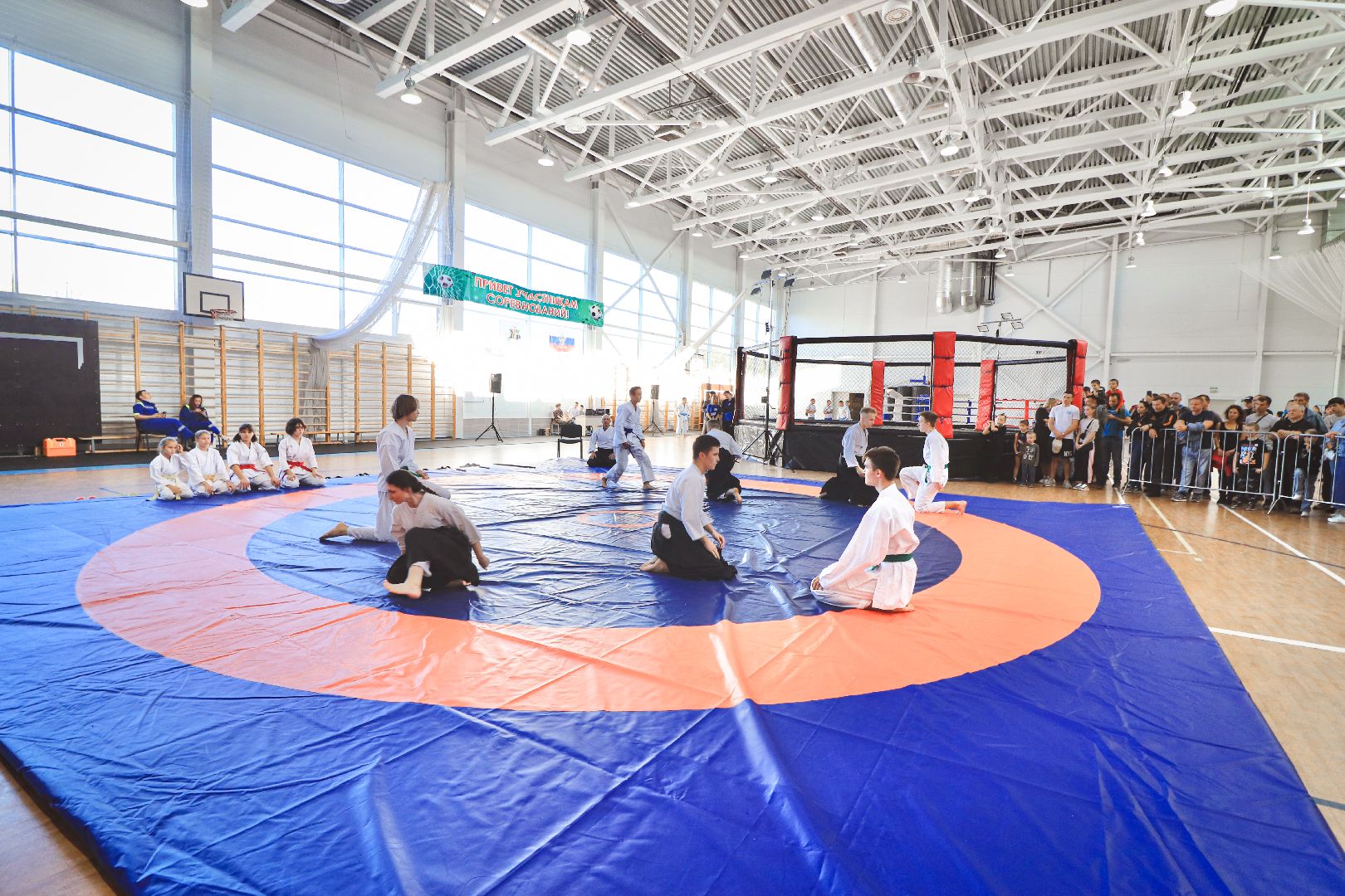 Клин, общество, спорт, единоборства,