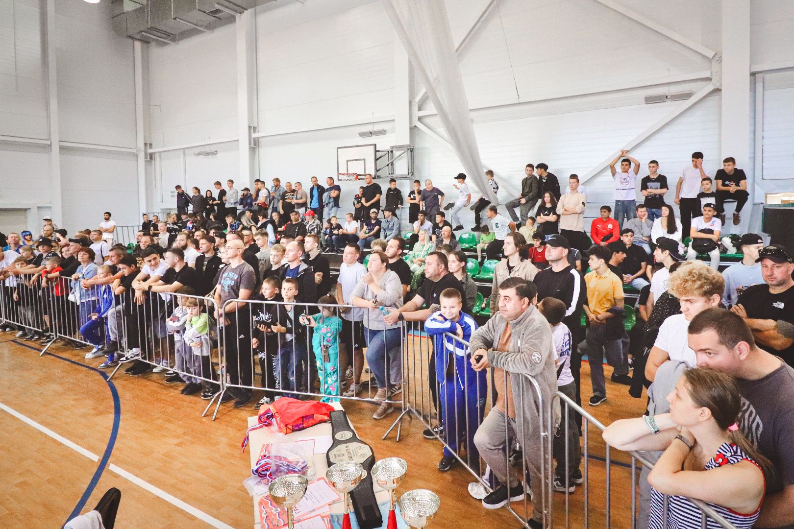 Клин, общество, спорт, единоборства,