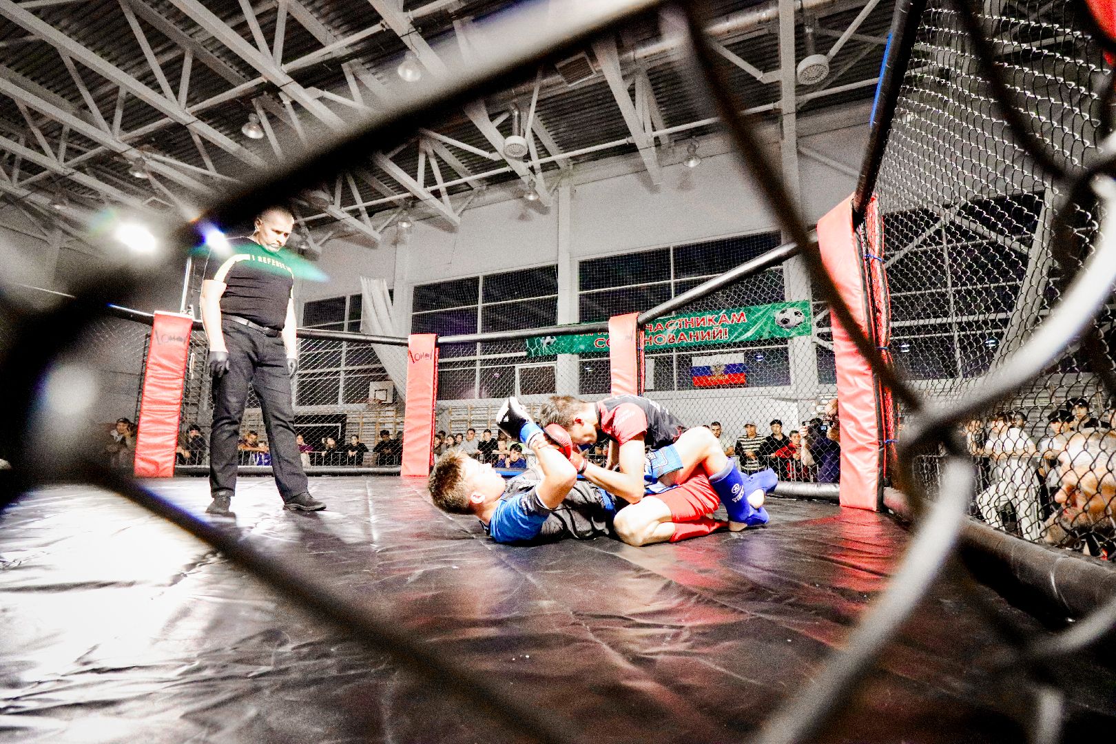 Клин, общество, спорт, единоборства,