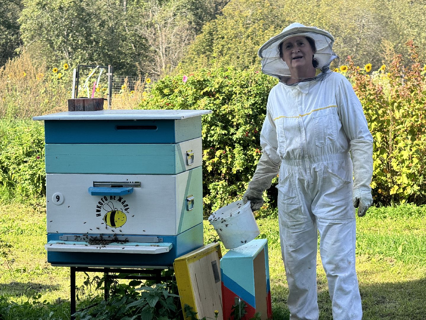 шаховская, мёд, пасека,