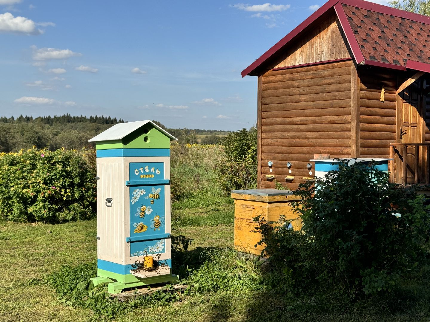 шаховская, мёд, пасека,