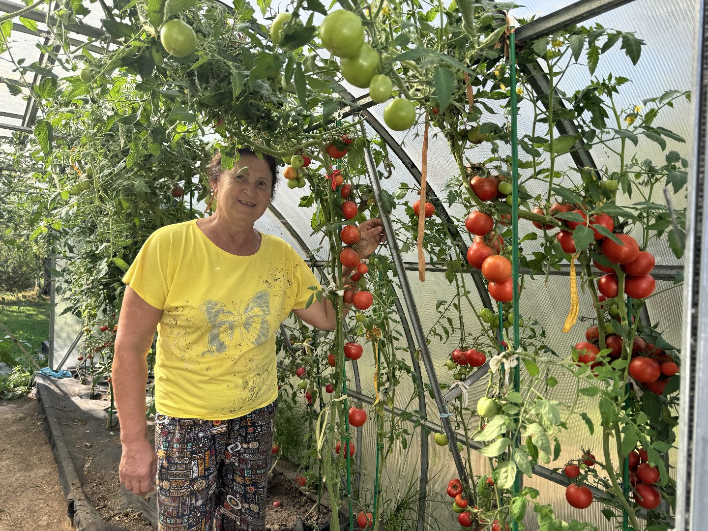 шаховская, мёд, пасека,