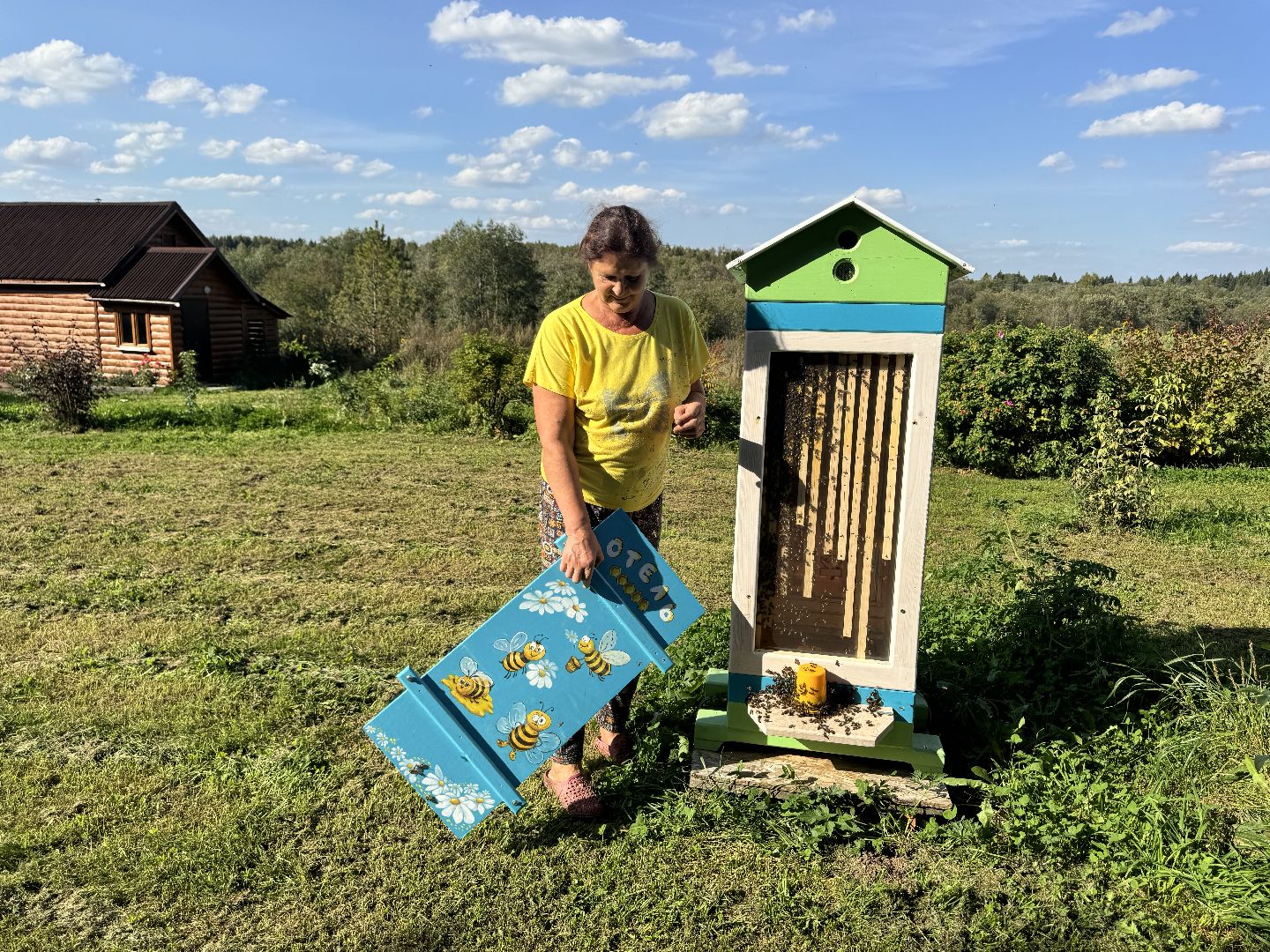 шаховская, мёд, пасека,