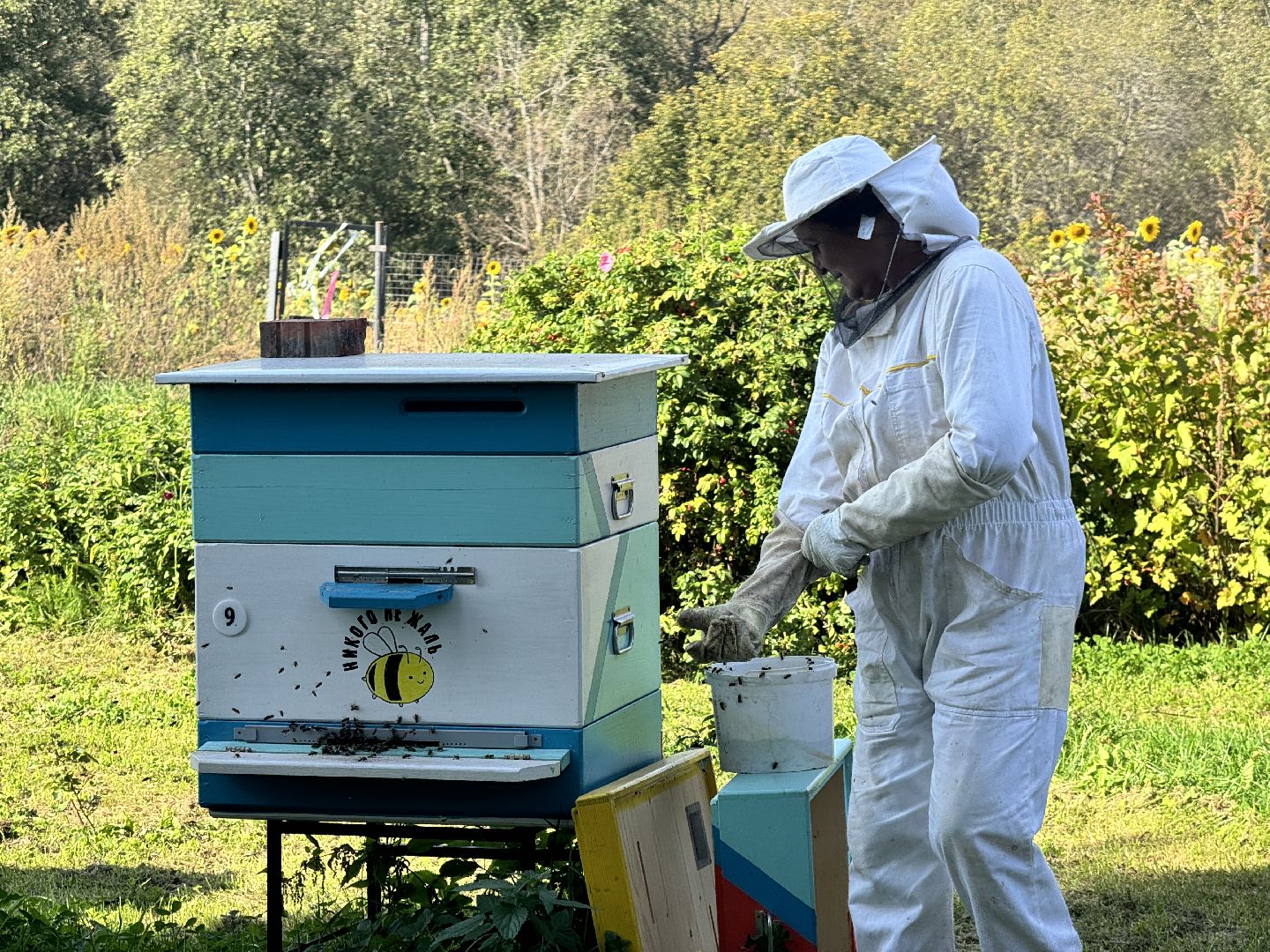 шаховская, мёд, пасека,