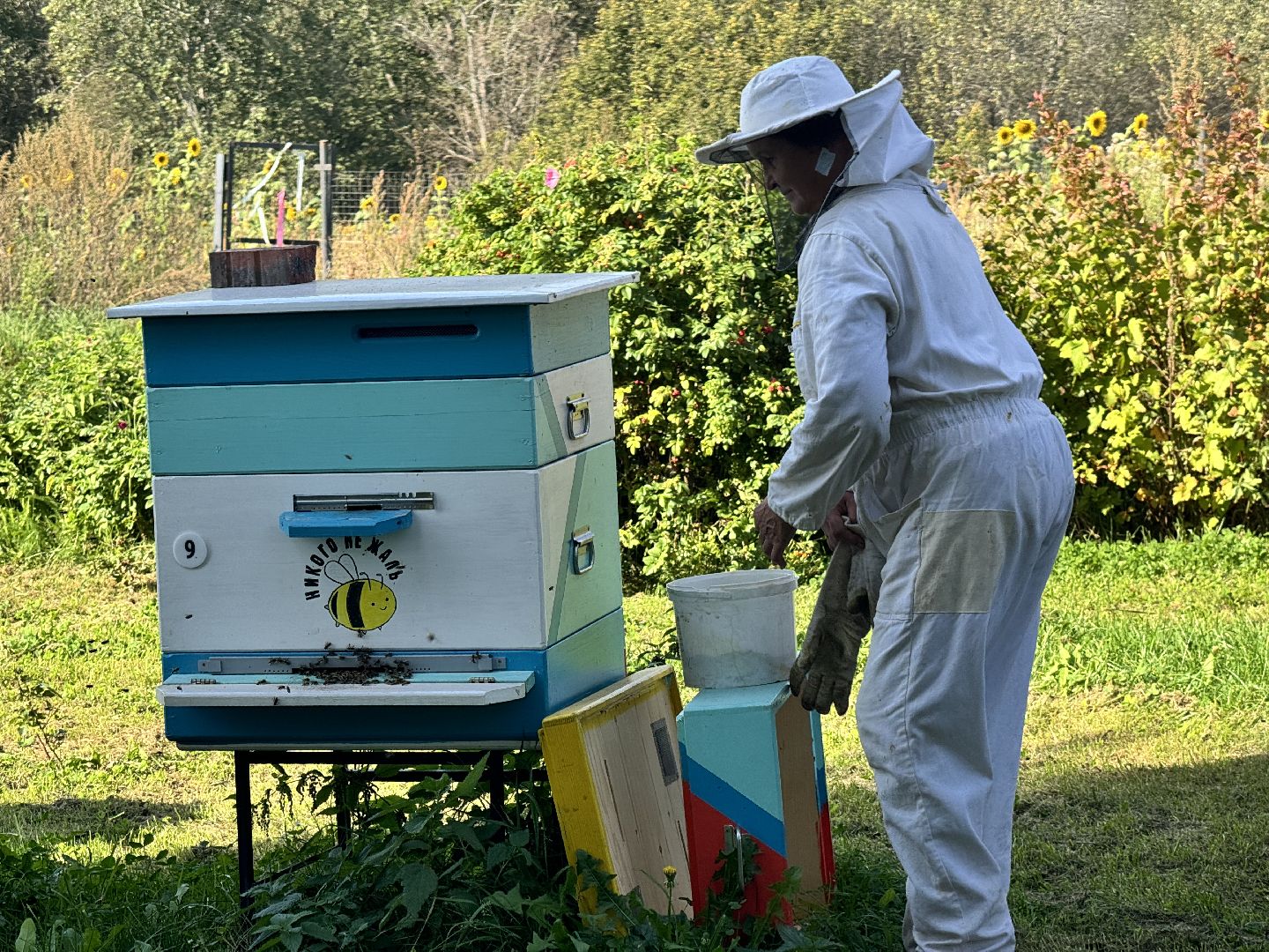 шаховская, мёд, пасека,