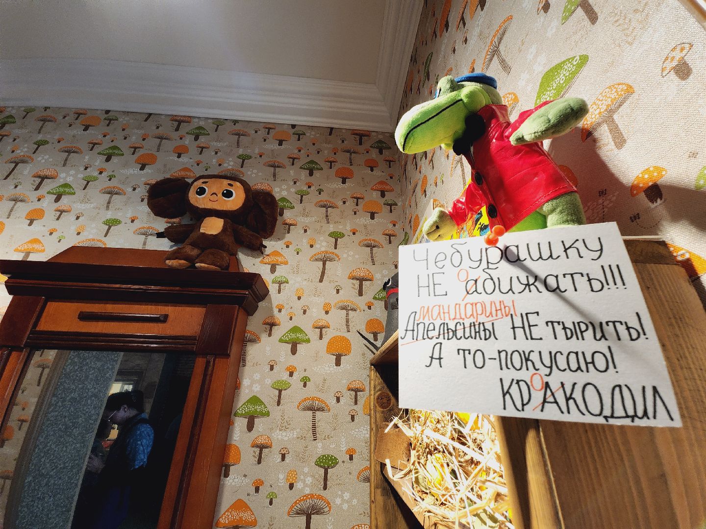 Егорьевск, Подмосковье, Московская область, История, Музей,