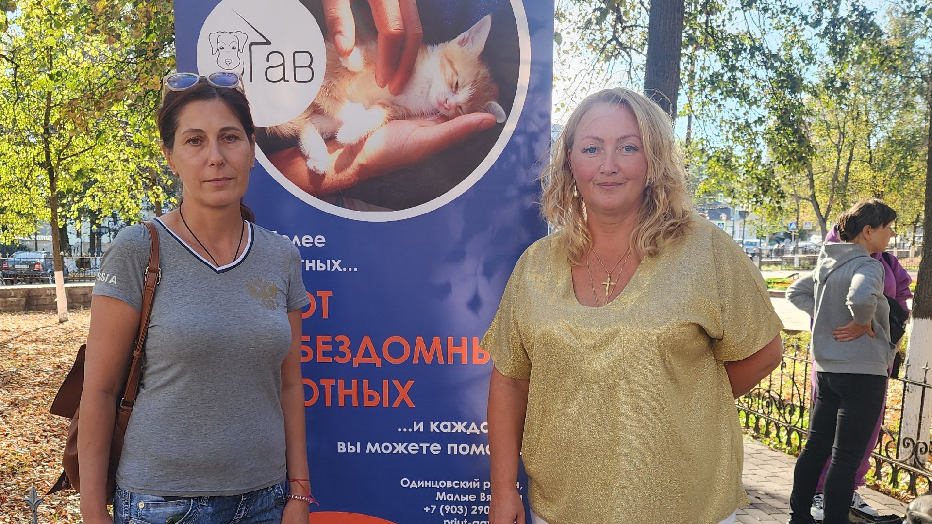 Звенигород, волонтры подмосковья, Приюты для животных, Зооактивисты,
