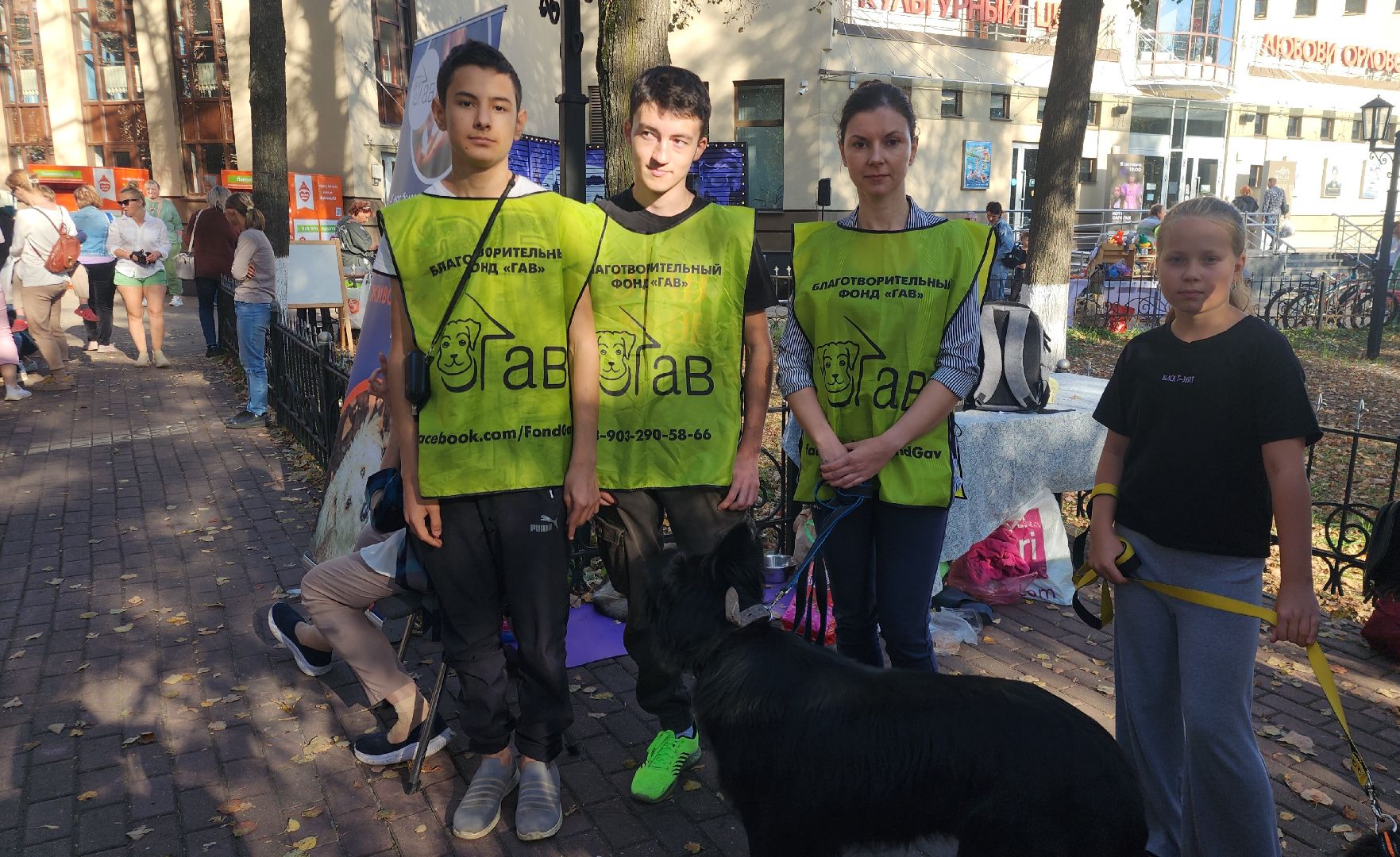 Звенигород, волонтры подмосковья, Приюты для животных, Зооактивисты,