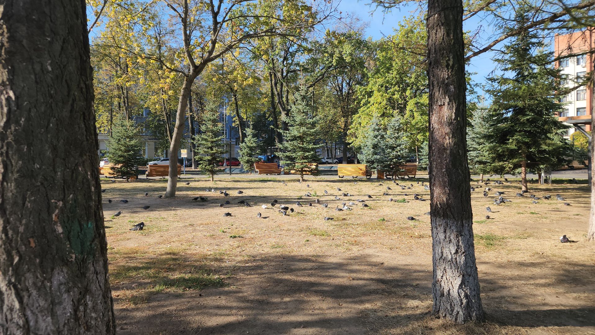 ступино, благоустройство, жкх, комфортная городская среда,