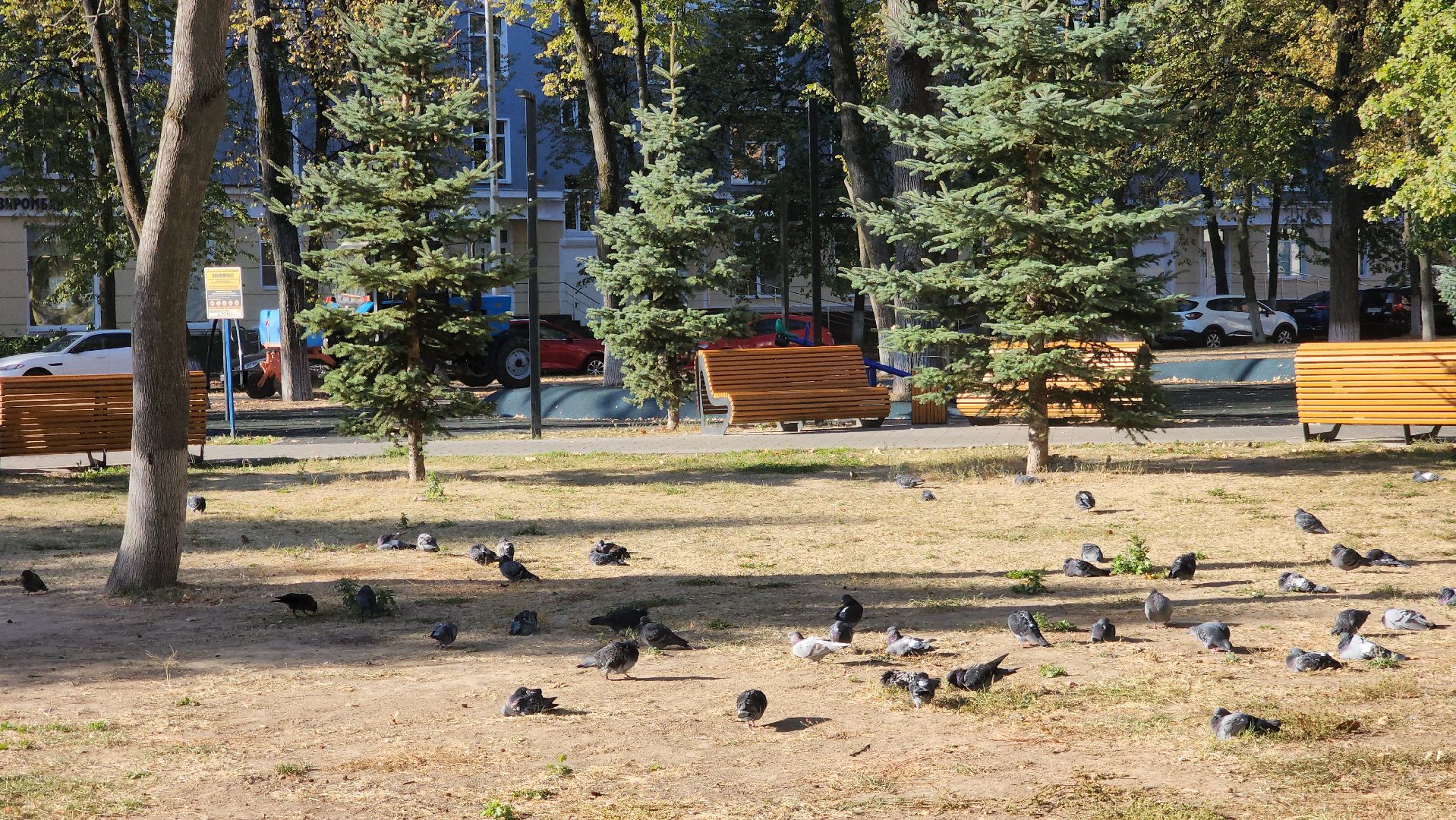 ступино, благоустройство, жкх, комфортная городская среда,