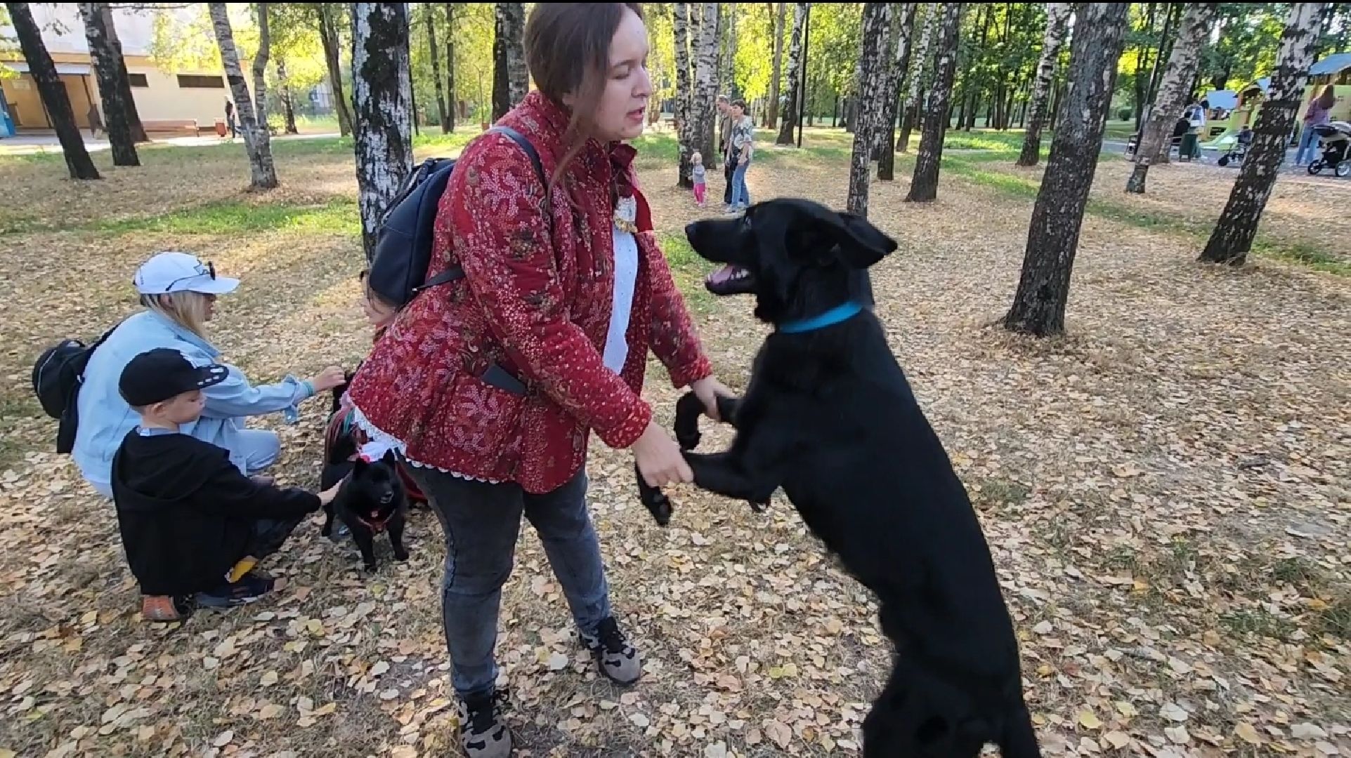 долгопрудный, кинологи, танец с бубном,