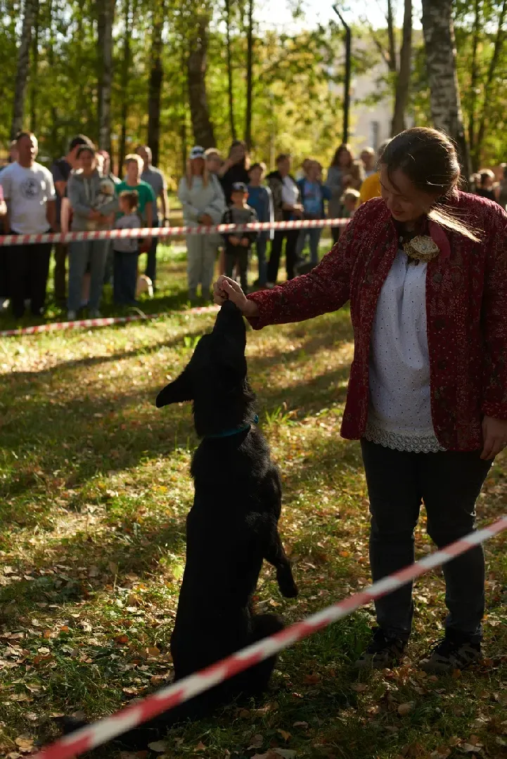 долгопрудный, кинологи, танец с бубном,