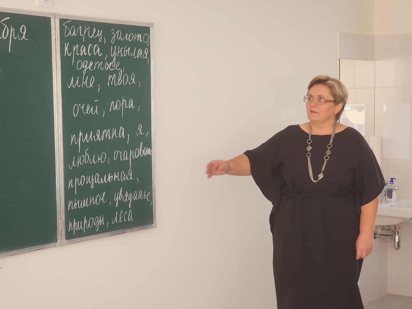 лучшие педагоги, лучшие учителя, давыдово, орехово-зуевский округ,