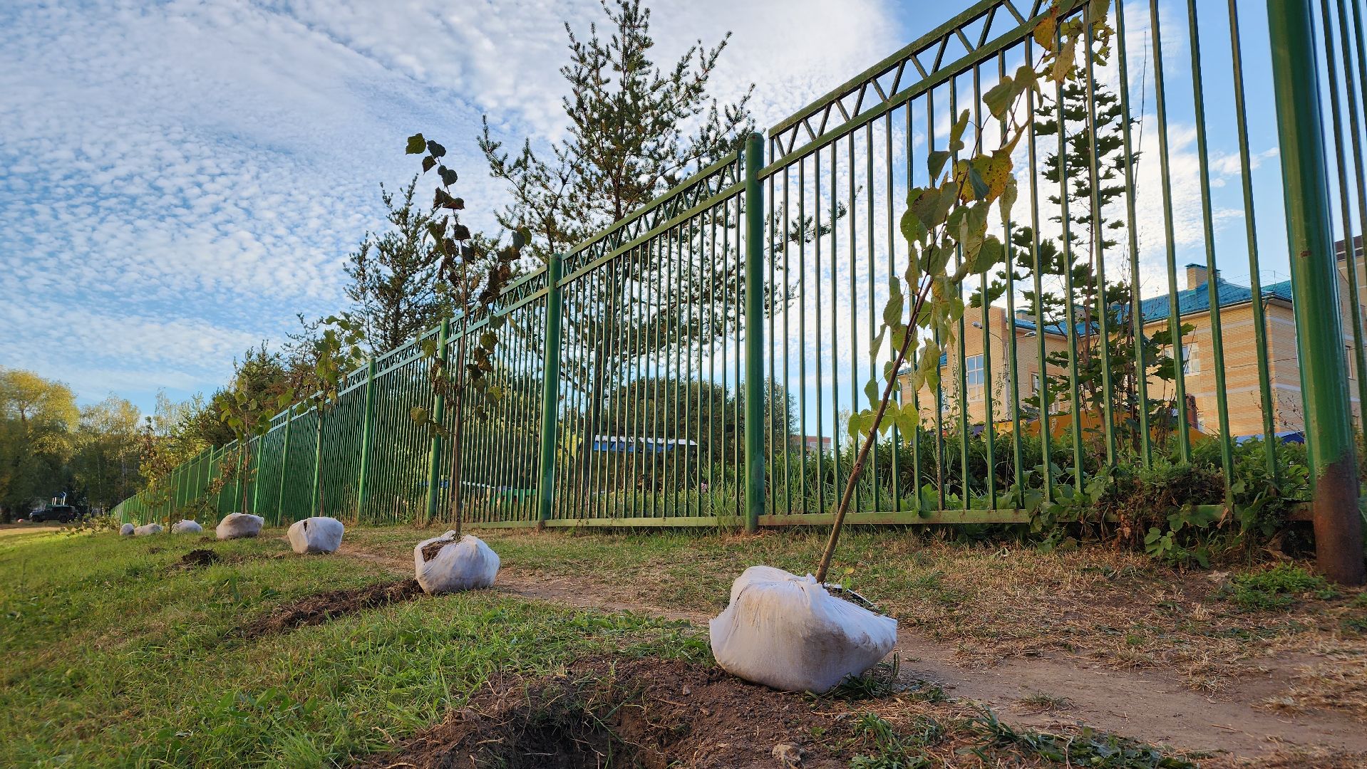 экология, экологическая акция, день в лесу сохраним лес вместе, областная акция, Подмосковье, Лосино-Петровский,