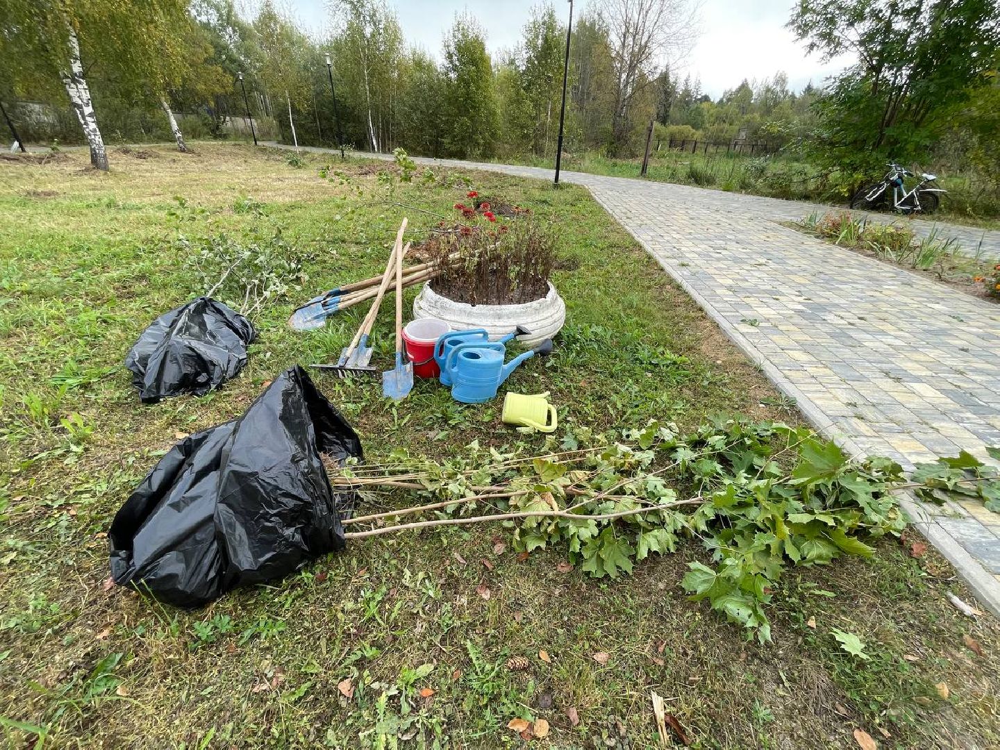 Талдом, Акция День в лесу, Поселок Северный,