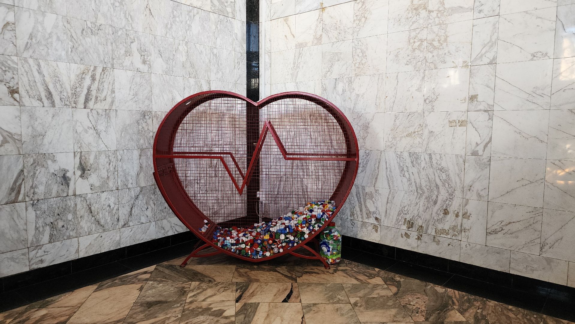 Добро РФ, волонтерский корпус БГО, волонтеры, Ногинск, Богородский городской округ,