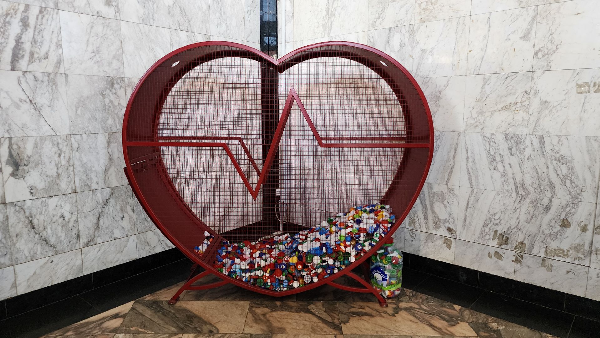 Добро РФ, волонтерский корпус БГО, волонтеры, Ногинск, Богородский городской округ,