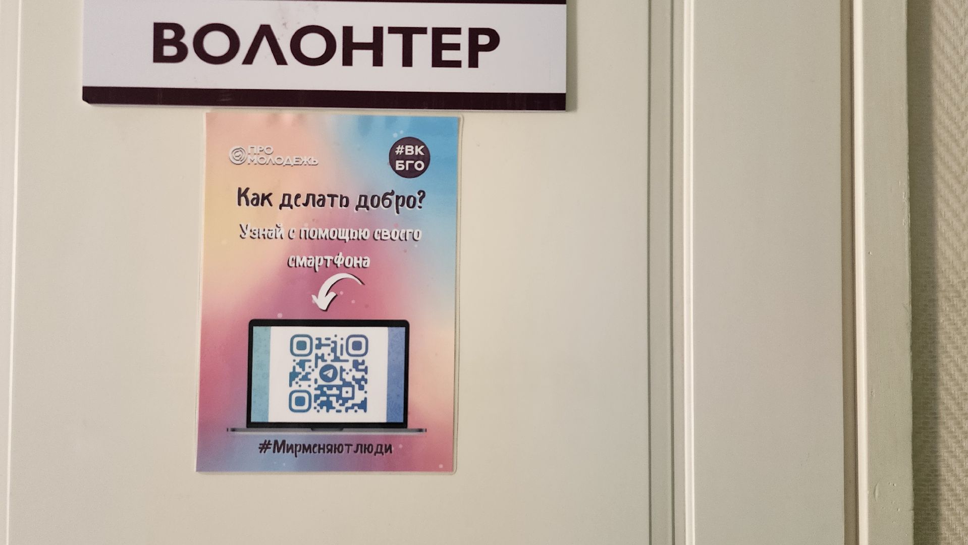 Добро РФ, волонтерский корпус БГО, волонтеры, Ногинск, Богородский городской округ,