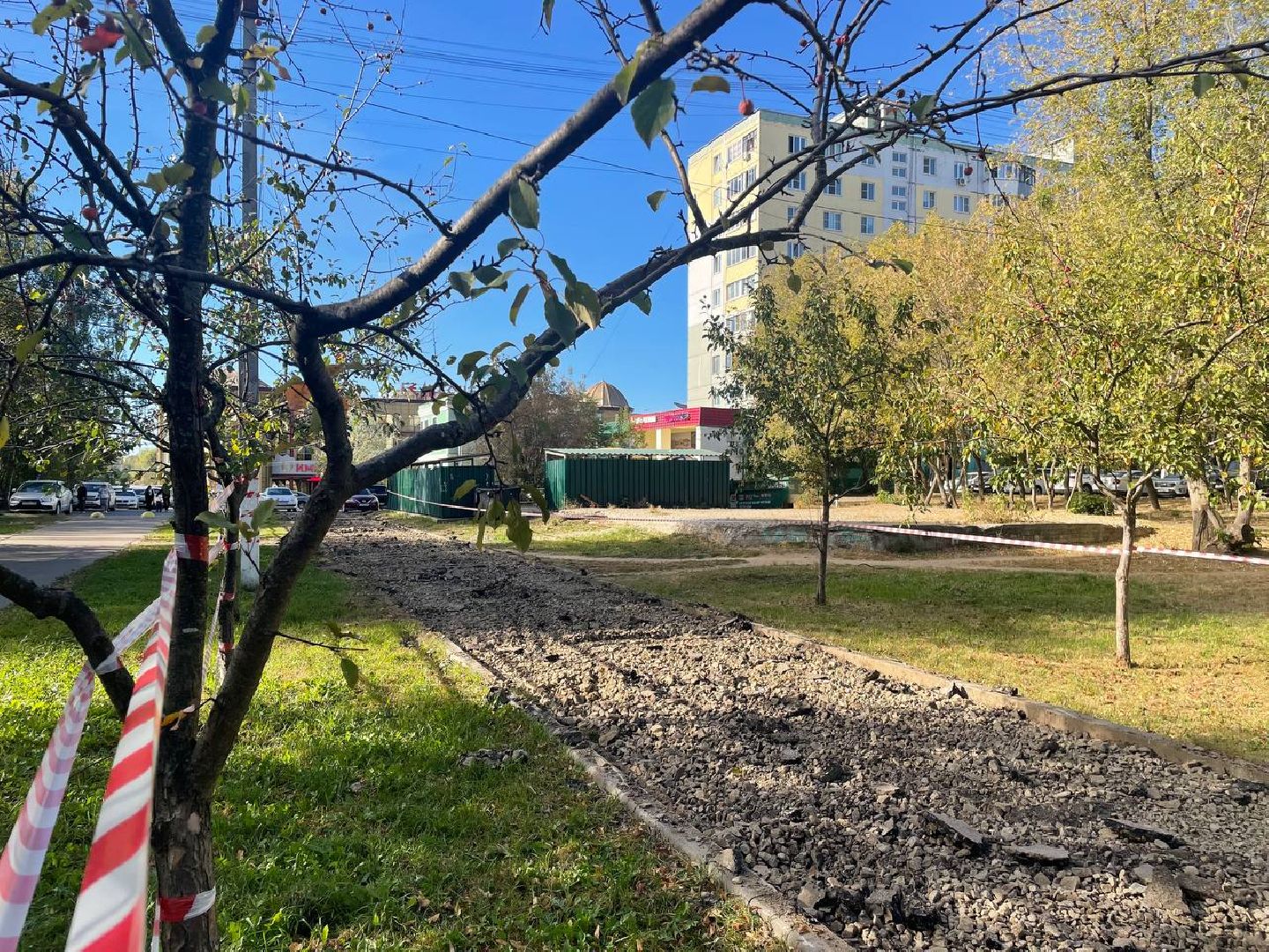 Дмитров, Школа 9, Детсад Пчелка,