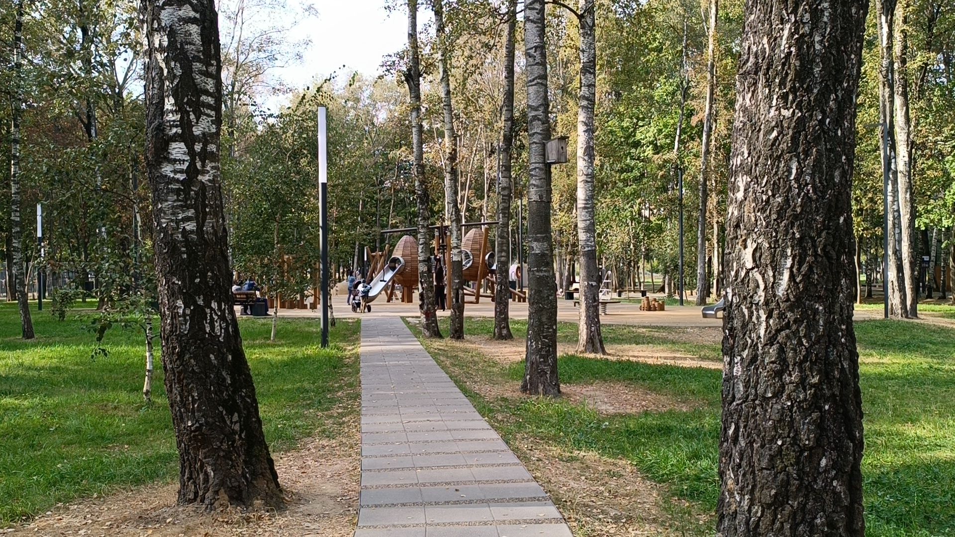 кафе, лобня, парк,