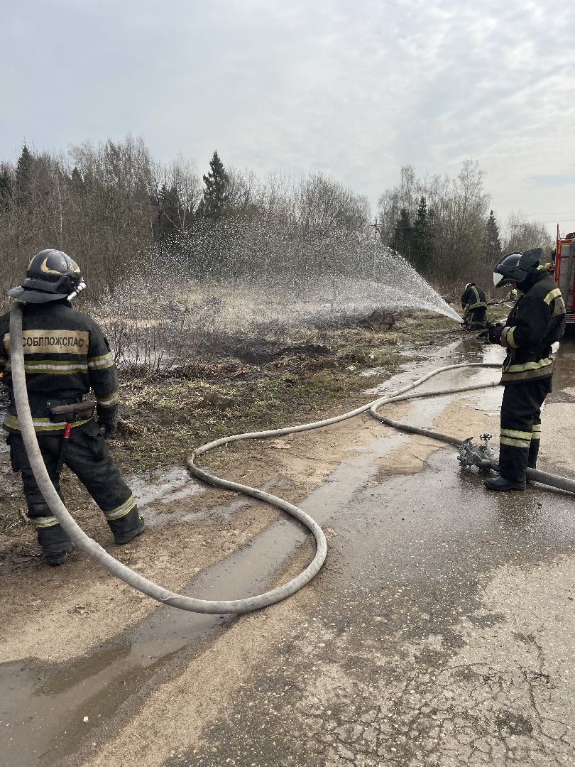 Одинцово, Лесхоз, Пал травы, Пожар, Экология