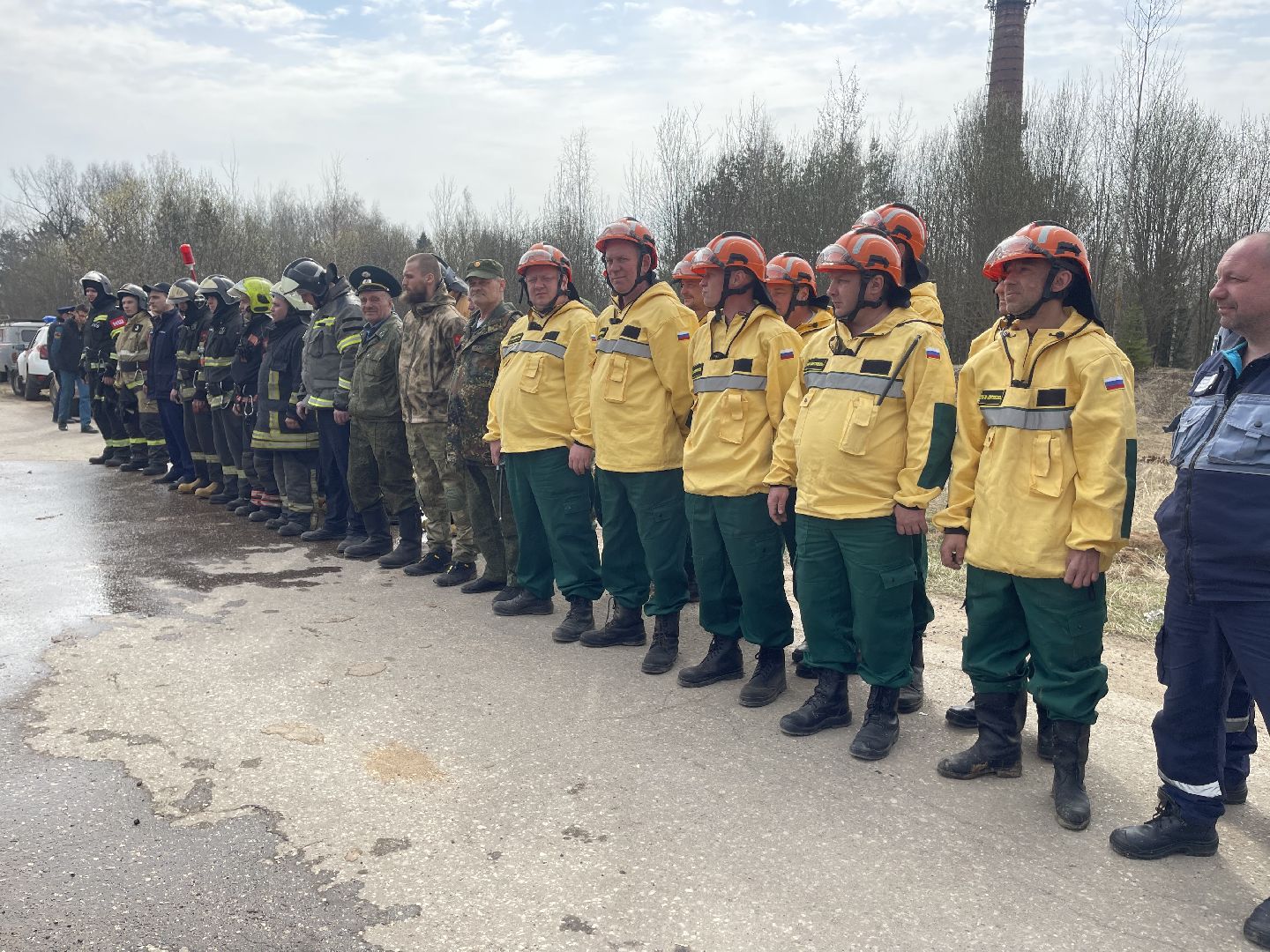 Одинцово, Лесхоз, Пал травы, Пожар, Экология