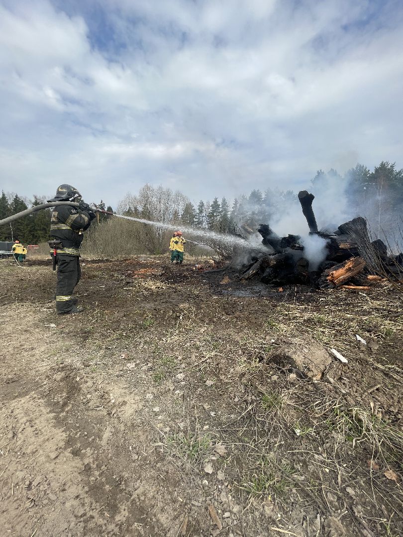 Одинцово, Лесхоз, Пал травы, Пожар, Экология