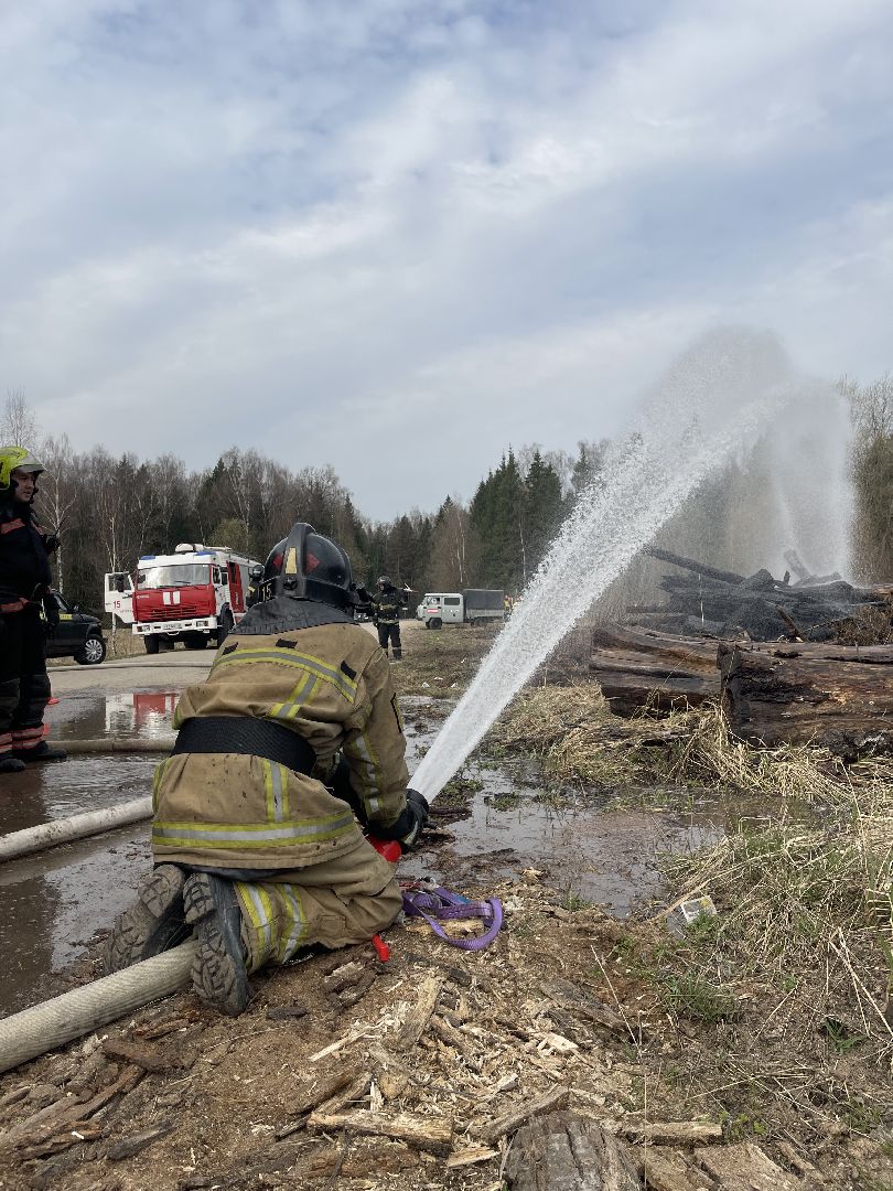 Одинцово, Лесхоз, Пал травы, Пожар, Экология