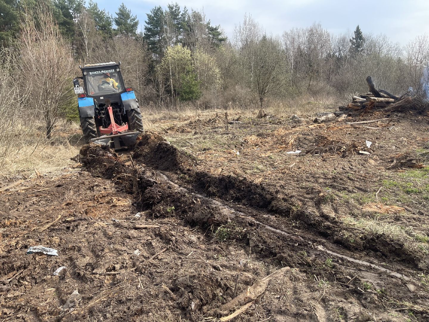 Одинцово, Лесхоз, Пал травы, Пожар, Экология