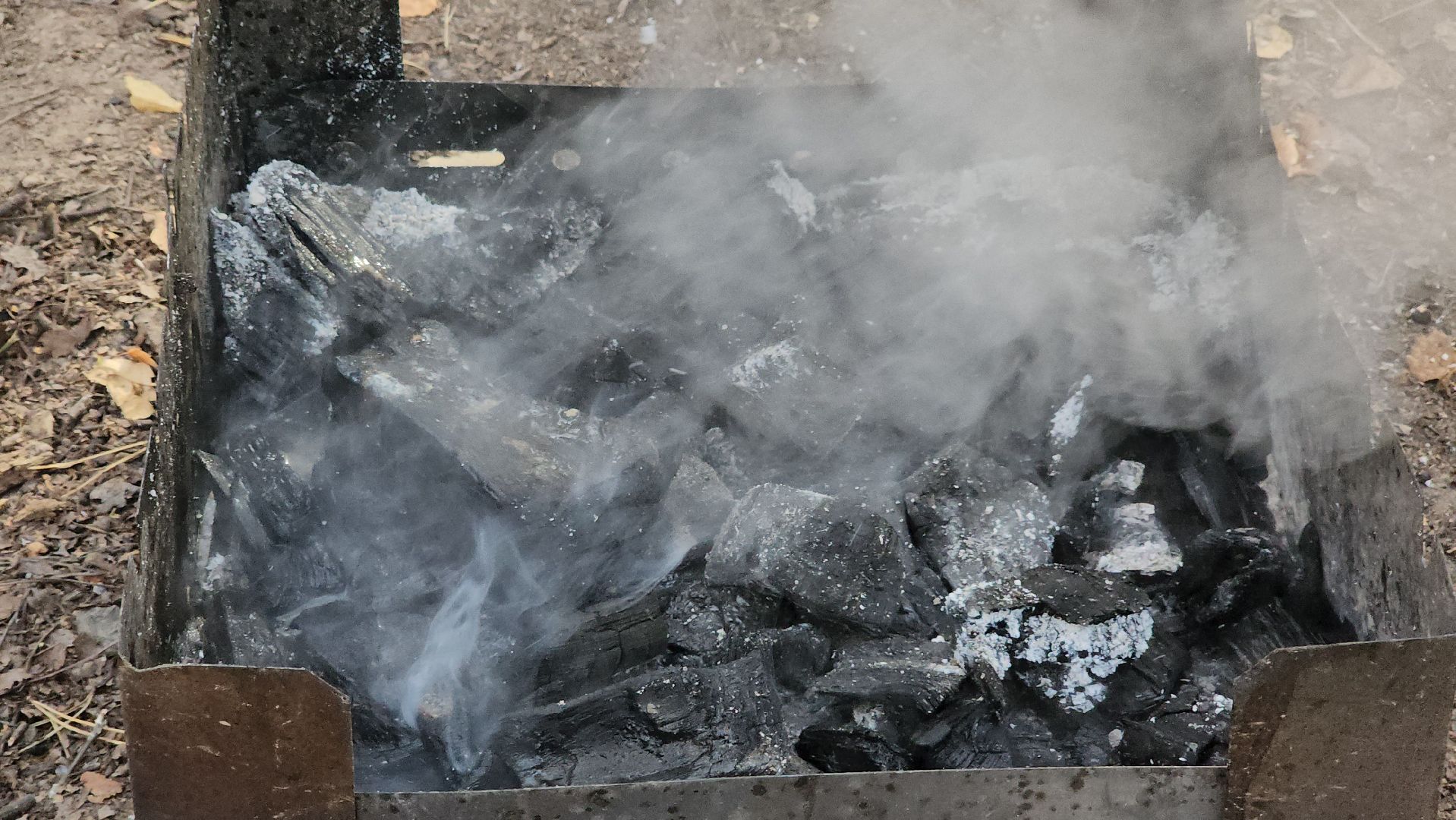 противопожарная безопасность, особый противопожарный режим, государственная лесная инспекция, подольское лесничество, рейд,