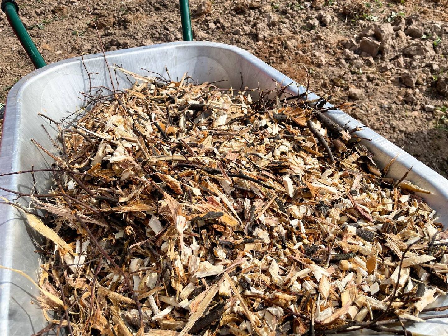 Сергиево-Посадский городской округ, Сергиев Посад, Субботник, Уборка, Художники, Благоустройство