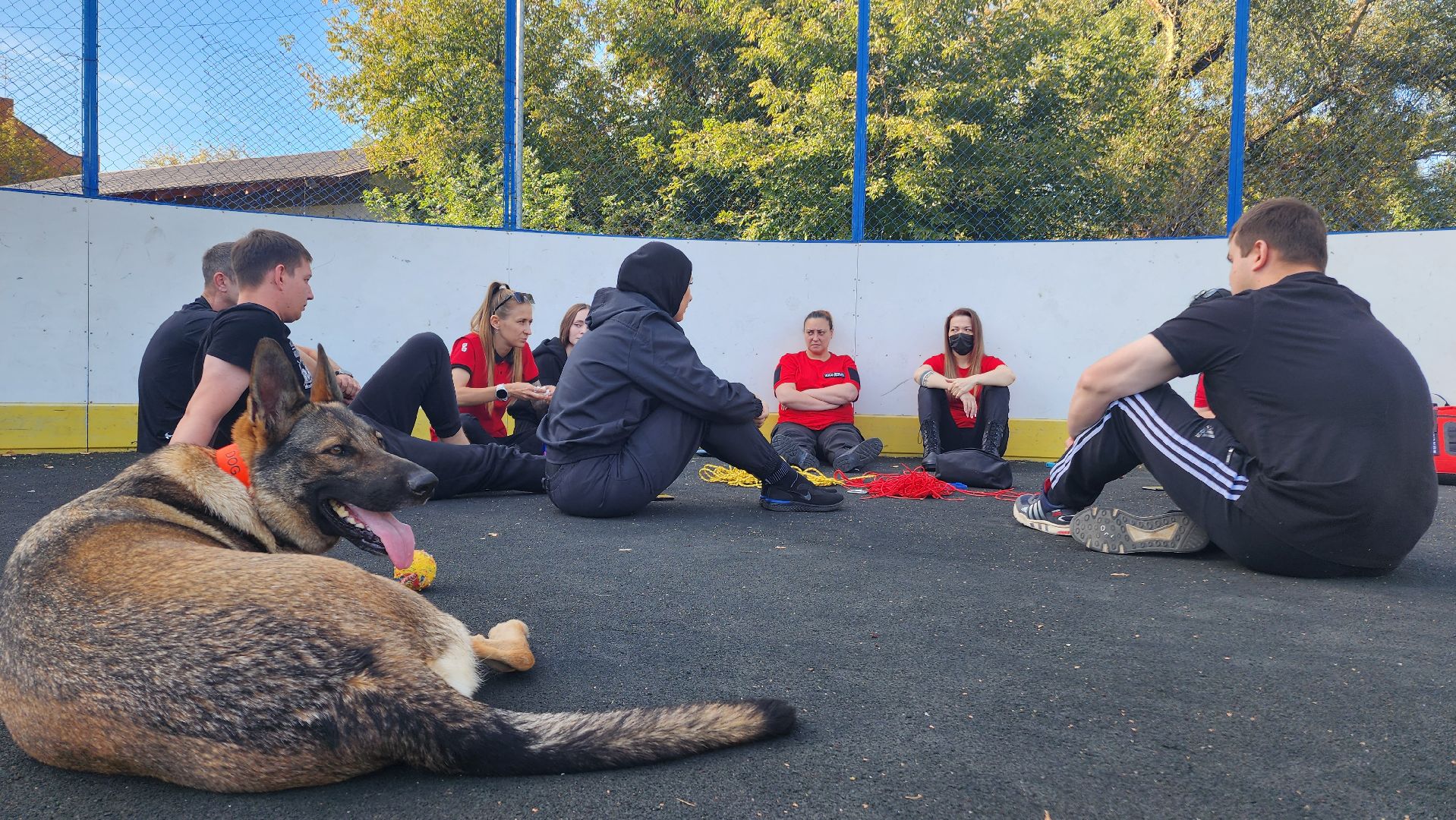 мпсо дельта, Волонтеры, поиск подростков, Поисковый отряд, Учения, Домодедово, Подмосковье,