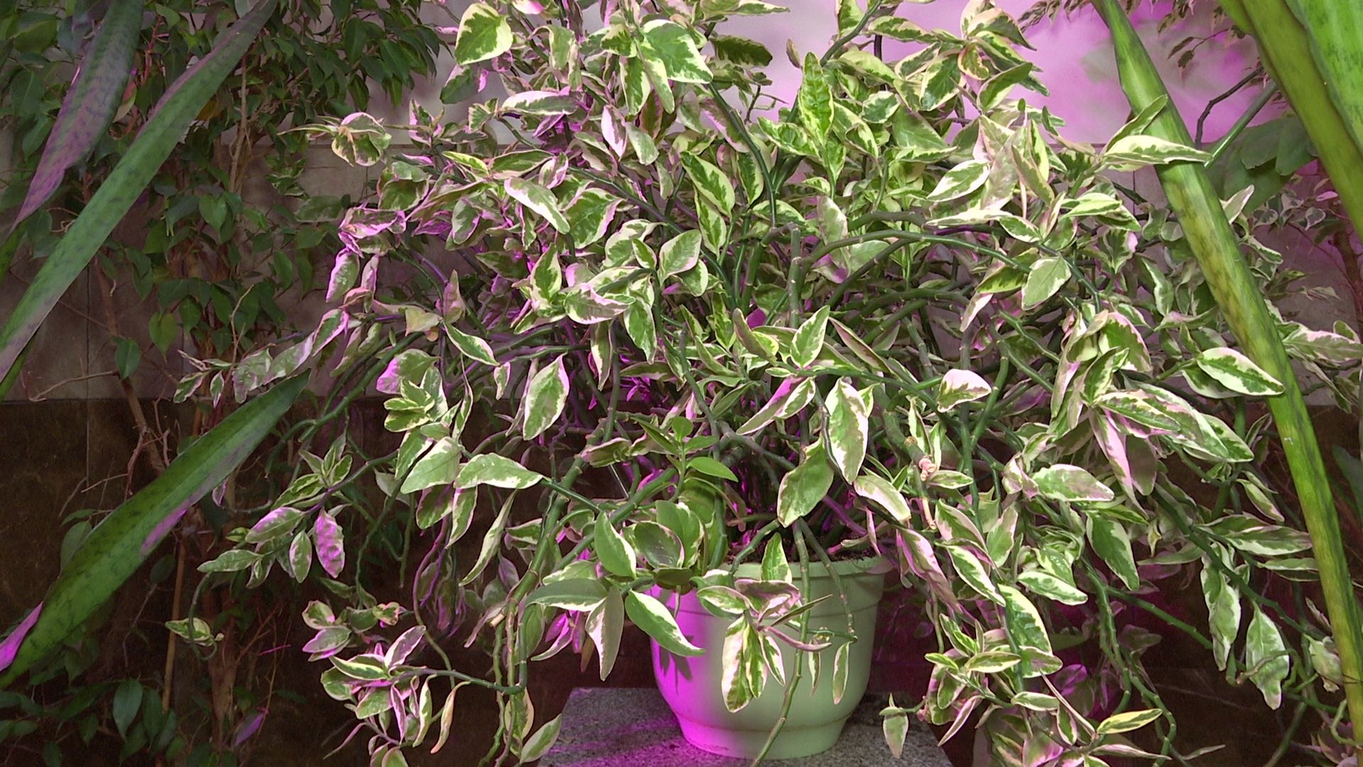 Реутов, конкурс главы, благоустройство, мой подъезд, мой двор, мой дом,