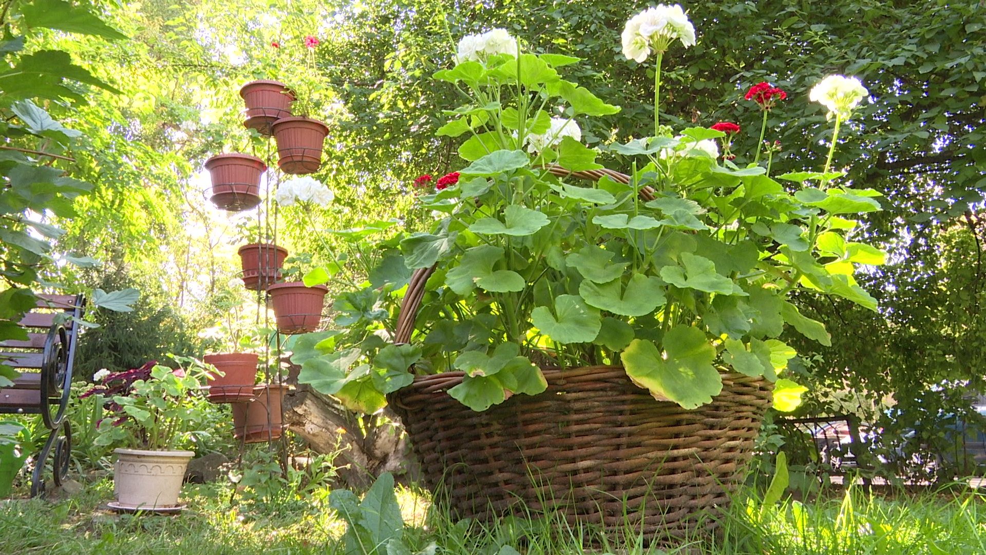 Реутов, конкурс главы, благоустройство, мой подъезд, мой двор, мой дом,