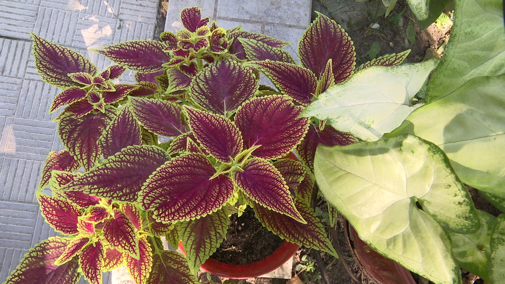 Реутов, конкурс главы, благоустройство, мой подъезд, мой двор, мой дом,