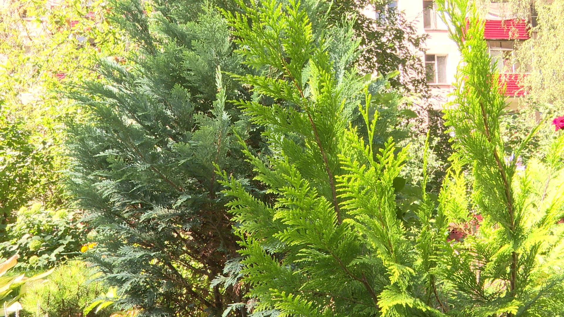 Реутов, конкурс главы, благоустройство, мой подъезд, мой двор, мой дом,