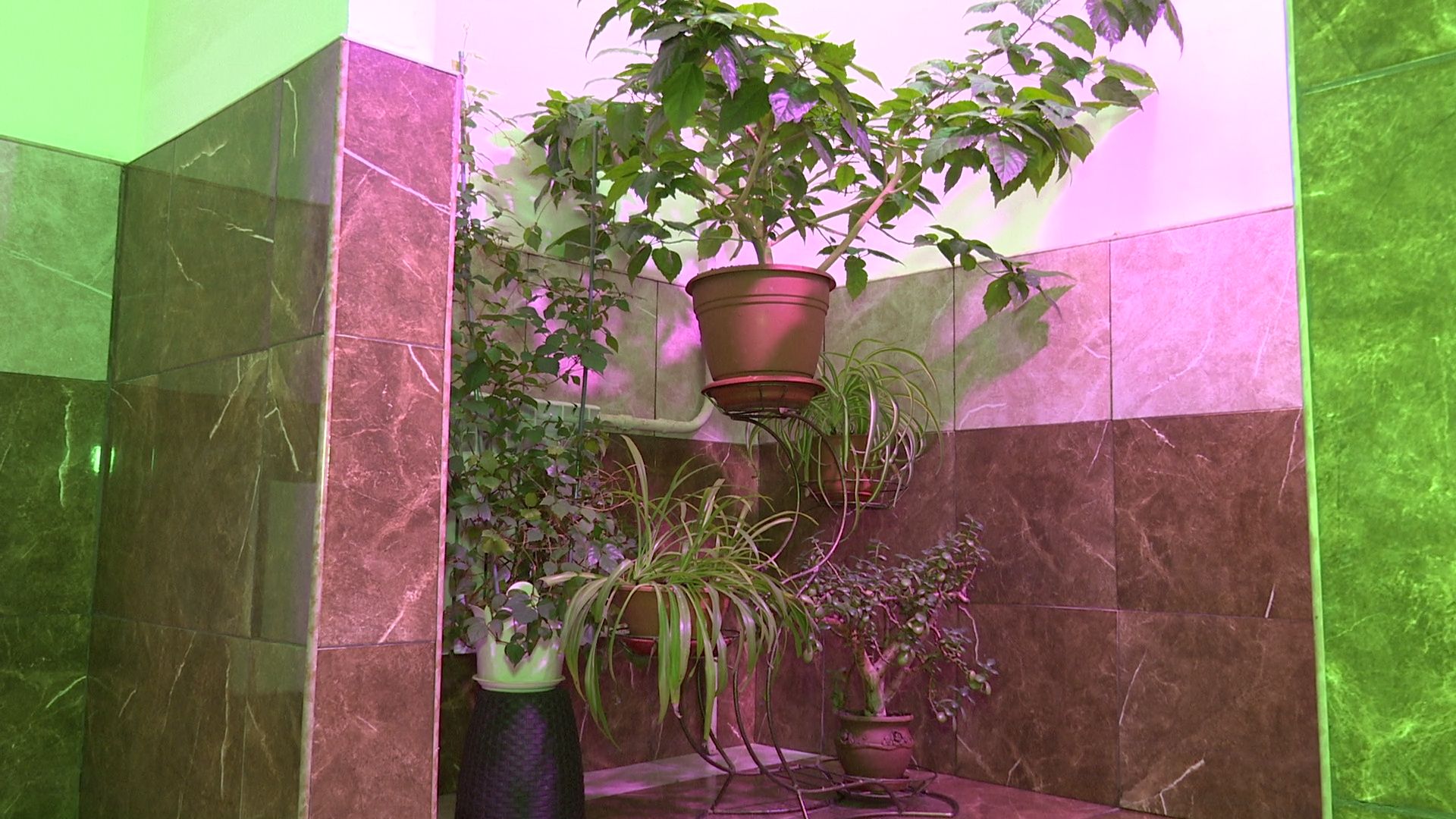 Реутов, конкурс главы, благоустройство, мой подъезд, мой двор, мой дом,