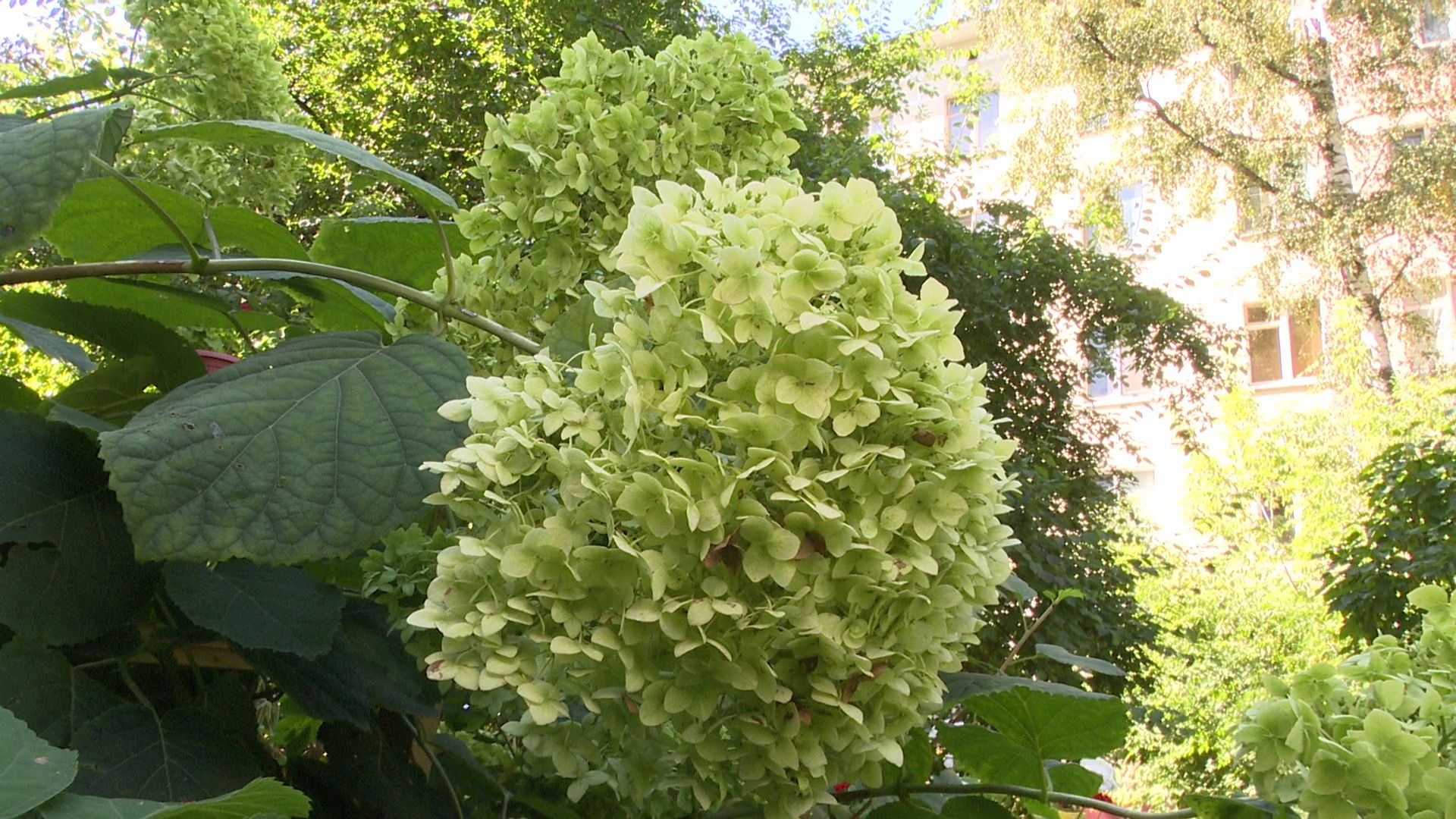 Реутов, конкурс главы, благоустройство, мой подъезд, мой двор, мой дом,