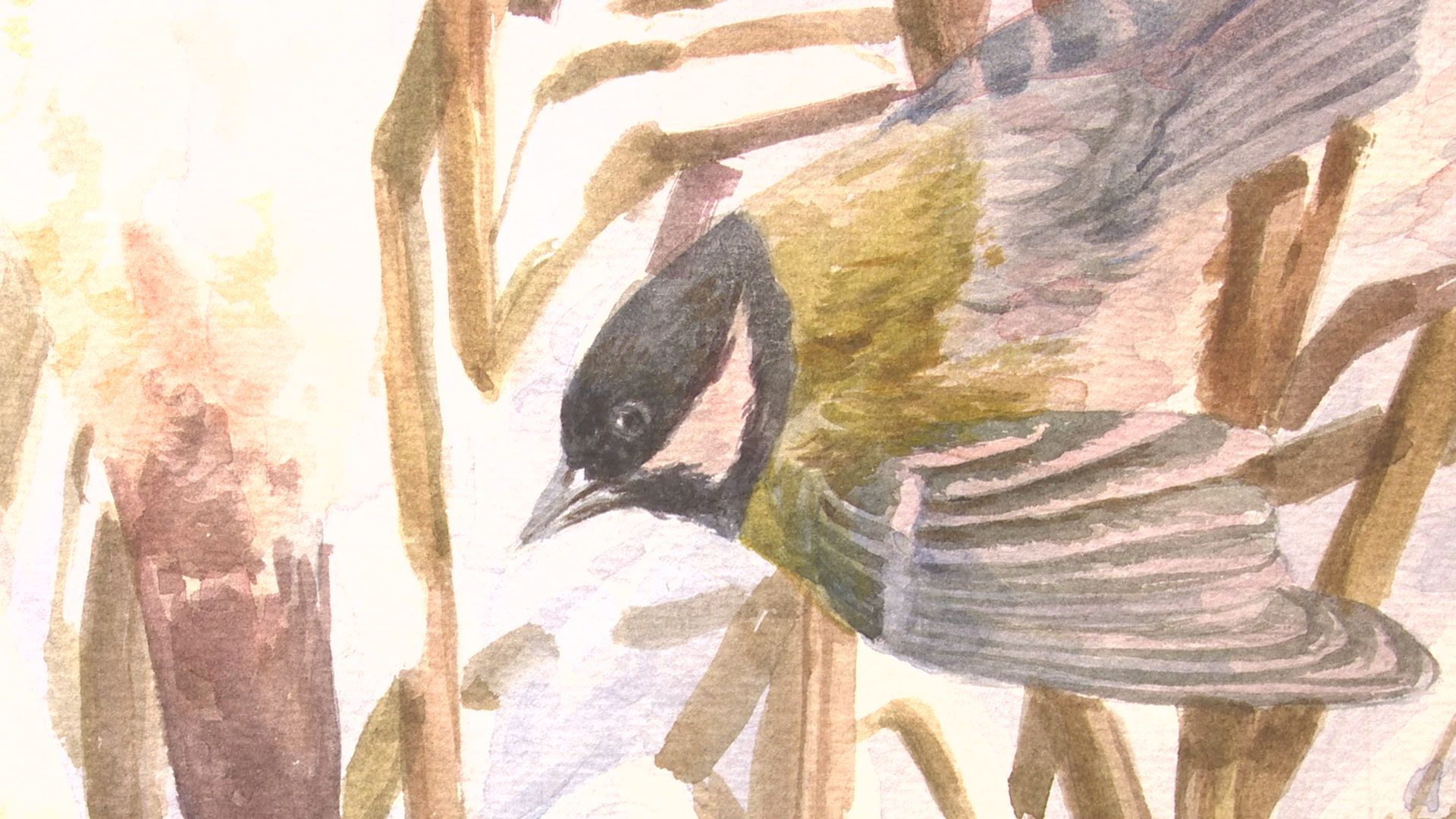 Реутов, музей, акварель, живопись, картины, выставка,