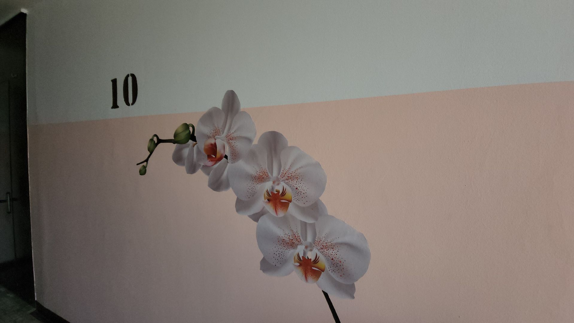 красногорск, жкх, мой подъезд,