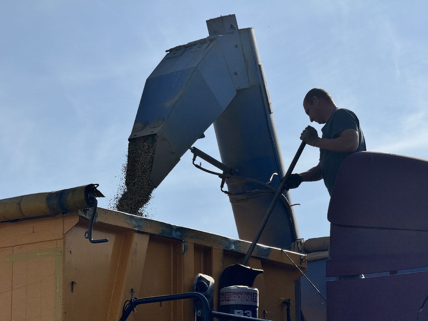 шаховская, уборка урожая, соя, рапс,