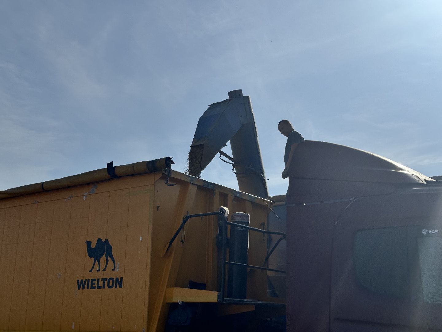 шаховская, уборка урожая, соя, рапс,