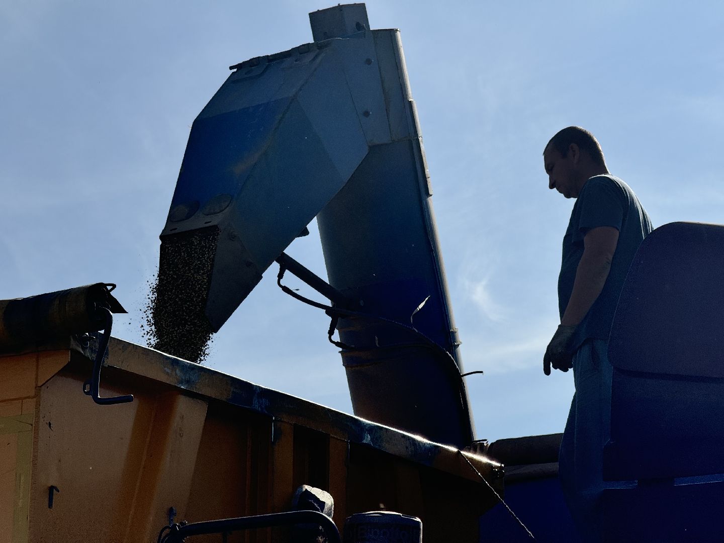 шаховская, уборка урожая, соя, рапс,