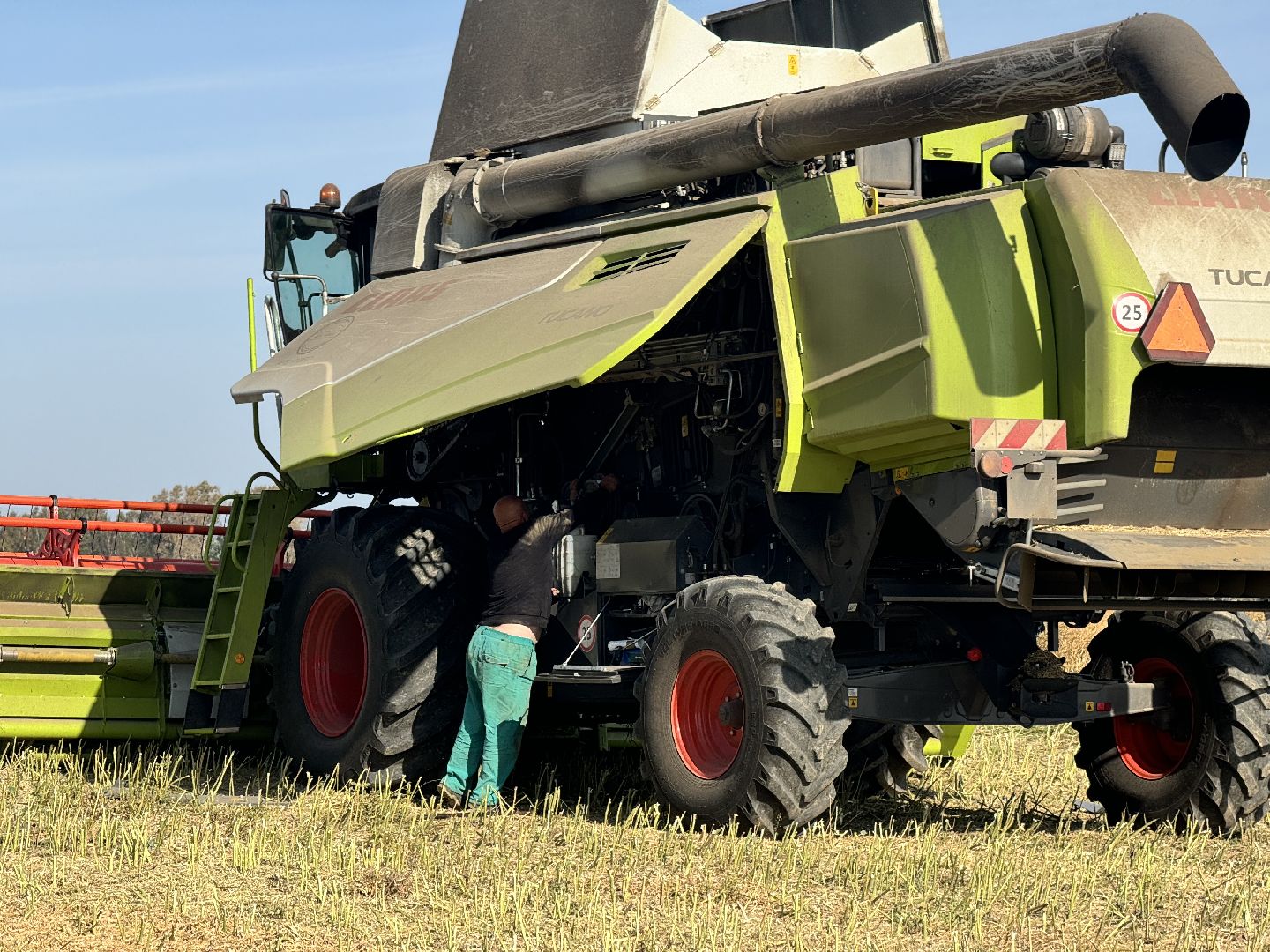 шаховская, уборка урожая, соя, рапс,